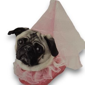 Dicken’s Closet princess dog costume